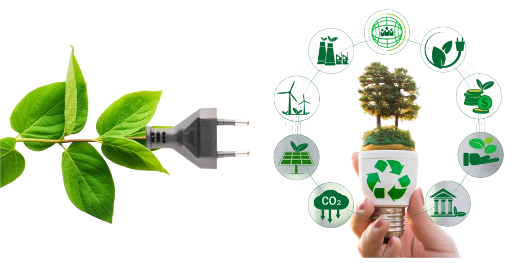Envases ecológicos personalizados para empresas y marcas
