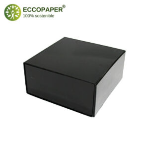 Caja Premium 22x22x10cm
